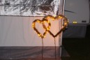DSC02454.jpg