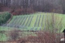 IMG_3486.JPG