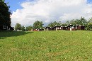 IMG_0003.JPG