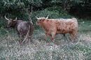 IMG_0054.JPG