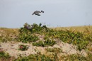 IMG_0058.JPG