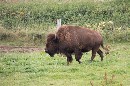 IMG_0082.JPG