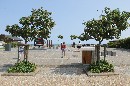 IMG_0023.JPG