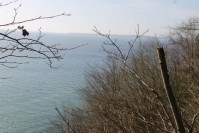 IMG_9585.JPG