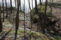 IMG_9589.JPG