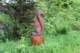 img_9797_small.jpg