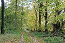 IMG_0785.JPG