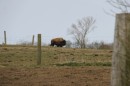 IMG_9665.JPG