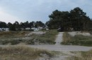 IMG_9644.JPG