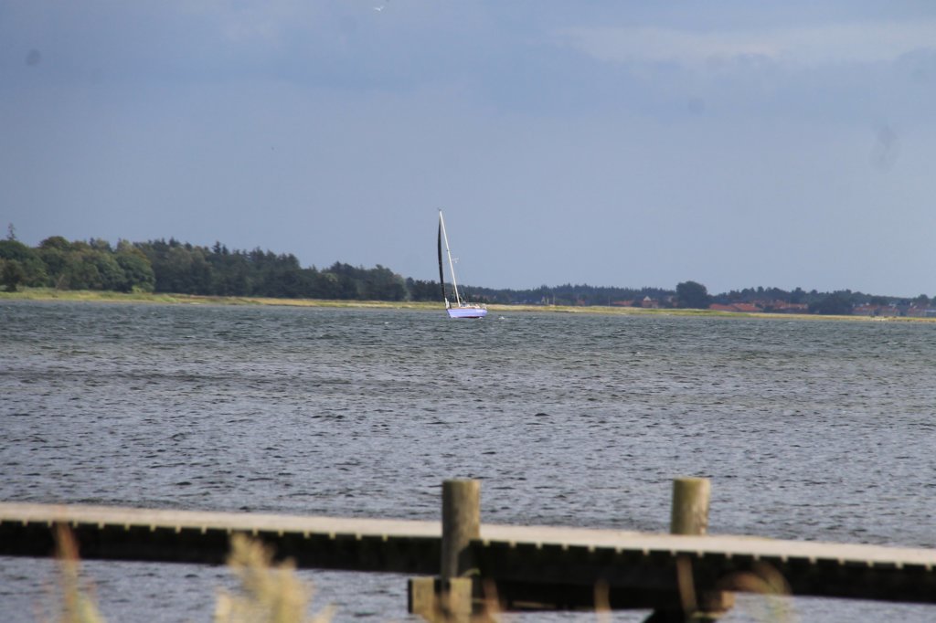 img_1850.jpg